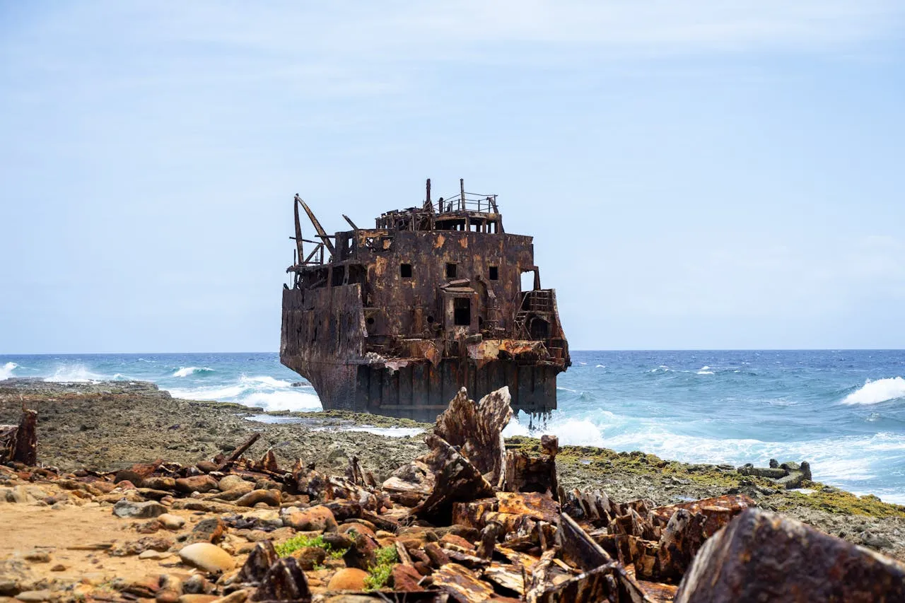 ¿HAS ABANDONADO ESTE PROYECTO?